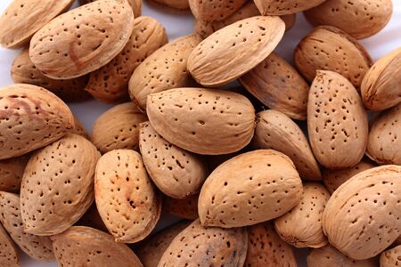 تصویر 5 از خرید بادام سنگی عمده مرغوب و با کیفیت + فروش استثنایی